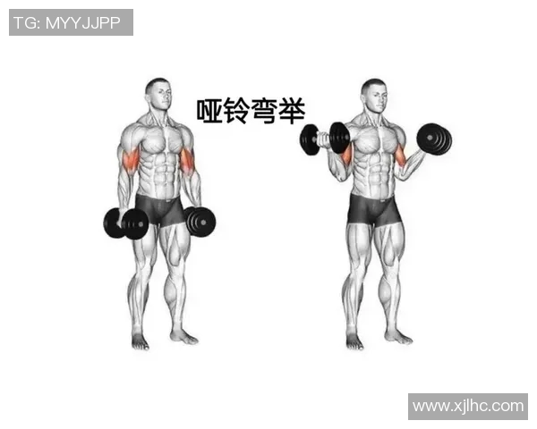 初学者必看哑铃锻炼方法全攻略助你轻松塑造完美身材