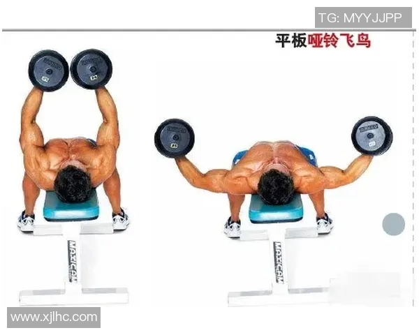哑铃锻炼胸肌中缝的最佳方法与技巧分享
